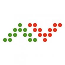 SAVA EFFECTA+ 345/25 R24 75T