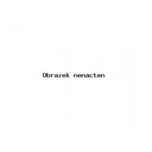 NEXEN ROADIAN HT SUV 255/70 R15 108S