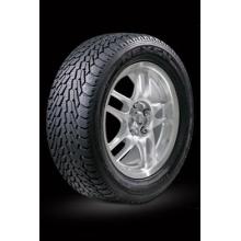 NEXEN Winguard SnowG 345/25 R24 91T